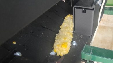Photo of Zašto ne rade reciklomati? Kukuruz, opušci, novac, drva…