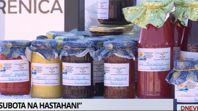 Photo of Subota na Hastahani: Aktivnosti za sve uzraste