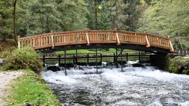 Photo of Prirodno blago Ilidže: Spomenik Vrelo Bosne dobio nove mostove i sanitarni čvor