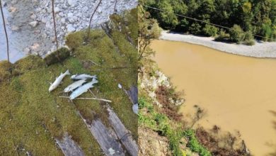 Photo of Klarić: Hitno provjeriti šta se dešava s rijekom Neretvom, prirodnim draguljem