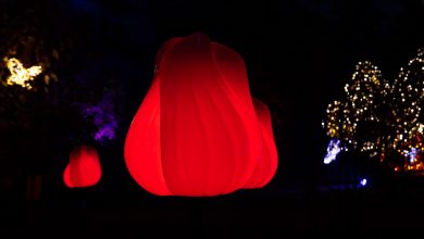 Photo of Festival svjetla obogatit će turističku ponudu Sarajeva