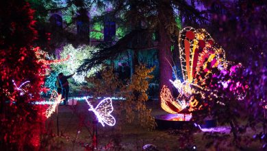 Photo of Četvrtkom izlazimo u Zemaljski muzej BiH