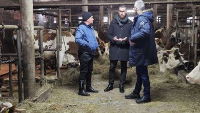 Photo of Mijatović u obilasku poljoprivrednika u Ilijašu i Vogošći: Svaka marka uložena u poticaje je ulaganje u razvoj i napredak