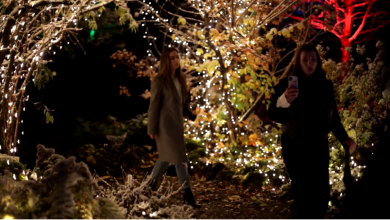 Photo of Posjetite magični Festival svjetla u Zemaljskom muzeju BiH