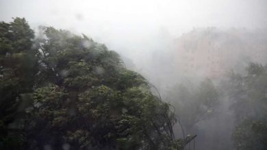 Photo of Jak vjetar je prethodne noći prouzrokovao značajne materijalne štete