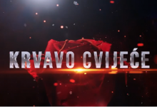 Photo of Epizode druge sezone serije Krvavo cvijeće gledajte vikendom od 09:45 do 14:30