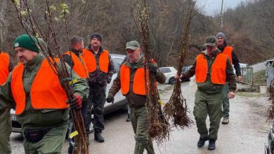 Photo of Udruženje Dio srca – Planirati sredstva za proljetnu sadnju drveća, voćaka i ljekovitog bilja