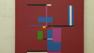 Photo of DNEVNIK TVSA/Izložba “Senza Titolo”