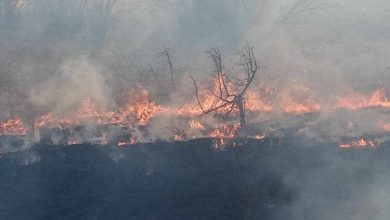 Photo of DNEVNIK TVSA/Vatrogasci tokom vikenda imali 12 intervencija