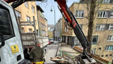 Photo of Uklonjeno polomljeno stablo u Petrarkijinoj
