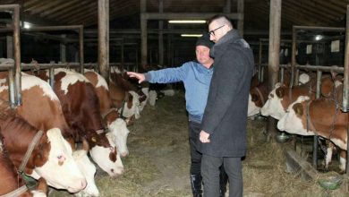 Photo of Vlada KS: Usvojen program utroška sredstava za zdravstvenu zaštitu životinja i sigurnost hrane