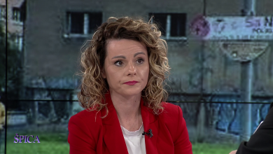 Photo of Danijela Šahat za TVSA: Alternativno rješenje za izgradnju južne longitudinale