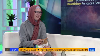 Photo of Sarajevsko jutro: Fondacija Second sprovodi Mačkambar- terapiju sa životinjama