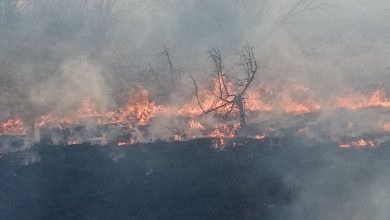 Photo of U Trebinju još  bukte požari