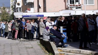 Photo of Radi smanjenja gužvi zbog CIPS-ovih prijavnica, Vlada KS dala rok svim ministarstvima
