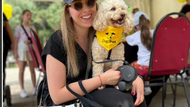 Photo of Dogs Trust i Grad Trebinje promovisali humani Sistem za upravljanje populacijom pasa