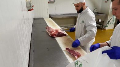Photo of Uoči Kurban bajrama preporuke za adekvatno zbrinjavanje animalnog otpada