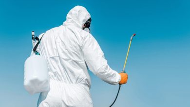 Photo of Počinje protivepidemijska desinsekcija na području općine Centar