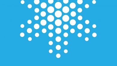 Photo of Dodijeljeno “Srebreno drvo”, nagrada Sarajevske zime, Renati Derejczyk iz Poljske