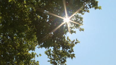 Photo of Narandžasti meteoalarm do 17. jula: Dodatni rizik su pljuskovite intenzivne padavine
