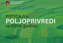 Photo of Ministarstvo privrede KS: Isplaćeni poticaji u poljoprivredi za prvu polovinu 2024. godine
