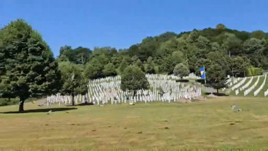 Photo of Video/Pušteno 350 golubova pismonoša u Potočarima na Memorijalni let do Sarajeva