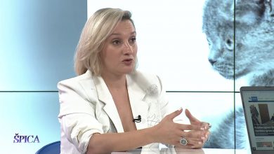 Photo of Spahić o brutalnom zlostavljanju psa:  To je možda najbolja slika našeg društva zlostavljanje životinja