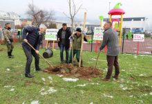 Photo of Zasađeno 19 sadnica stabala na Šipu