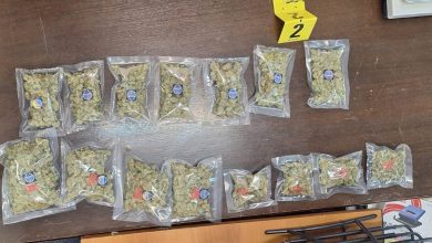Photo of Akcija „White Widow“: Zaplijenjena droga, slobode lišena žena
