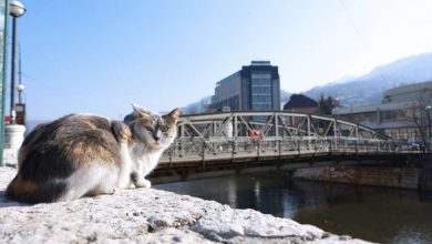 Photo of Narednih dana sunčano i umjereno oblačno, u utorak se očekuju padavine