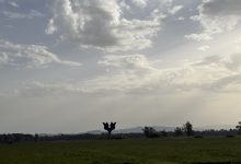 Photo of Jasenovac: 80. godišnjica proboja iz logora smrti