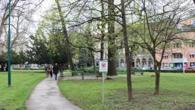 Photo of Ministarstvo i Centar za ekologiju i prirodne resurse: Povećana koncentracija polena u maju zahtijeva oprez alergičnih osoba