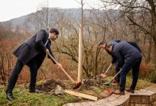 Photo of U Aleji ambasadora danas sadnja lipa