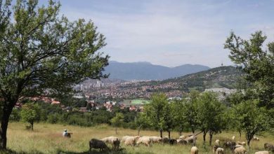 Photo of Crveni križ Kantona Sarajevo organizira akciju prikupljanja kurbanskog mesa