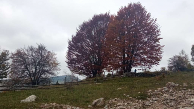Photo of U BiH danas umjereno do pretežno oblačno vrijeme