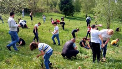Photo of Memorijalna šuma sjećanja na Betaniji: Učenici sadili stabla u čast žrtava genocida u Srebrenici