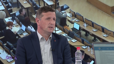 Photo of Elvis Vreto za TVSA: Skupštinska većina stabilna, strategija za mlade usmjerena na konkretne probleme