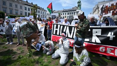 Photo of Brisel: Uposlenici institucija Evropske unije traže okončanje genocida u Gazi