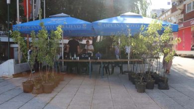 Photo of Za građane Novog Sarajeva osigurano 280 sadnica voćki