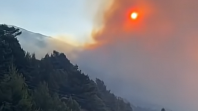Photo of Veliki požar između Makarske i Omiša