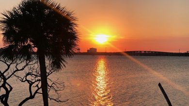 Photo of Počelo je ljeto