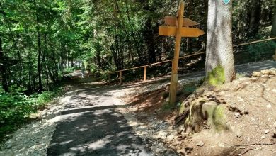 Photo of Uk: Spas od vrućina potražite u prirodi – od Trebevića do Vrela Bosne