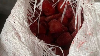 Photo of Federalna sanitarna inspekcija zabranila uvoz 22 tone zamrznutih jagoda i 96 kg sladoleda