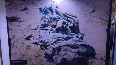 Photo of U Vijećnici otvorena izložba ‘Underground’, svjedočanstvo o razmjerama genocida