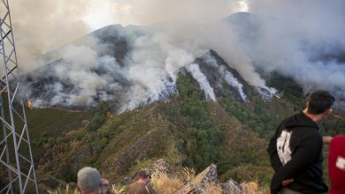 Photo of Požari pustoše planine u Španiji