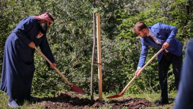 Photo of Ambasador Katara u BiH zasadio lipu u Aleji ambasadora u Sarajevu