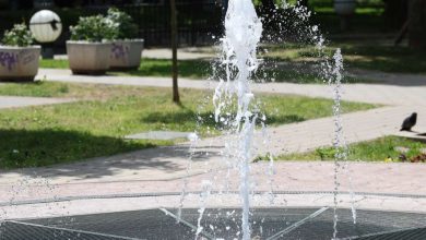 Photo of Sunčano vrijeme uz umjeren porast naoblake tokom dana