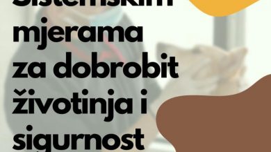 Photo of Ministarstvo privrede KS: Sistemskim mjerama do smanjenja broja napuštenih životinja