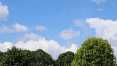 Photo of U Bosni i na sjeveru Hercegovine oblačno, na jugu danas temperatura do 16 stepeni