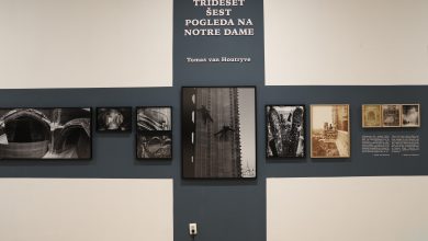 Photo of Na 7. Sarajevo Festu večeras svečano otvorenje izložbe „Trideset i šest pogleda na Notre Dame“